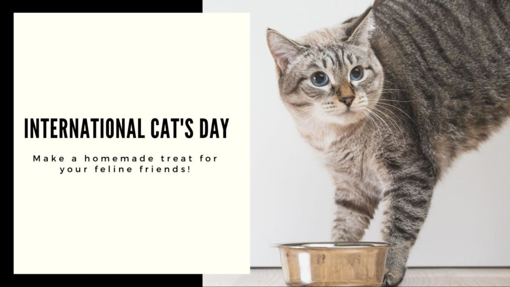 How to Remove a Strong Fishy Taste from Fish - Fresh Farms