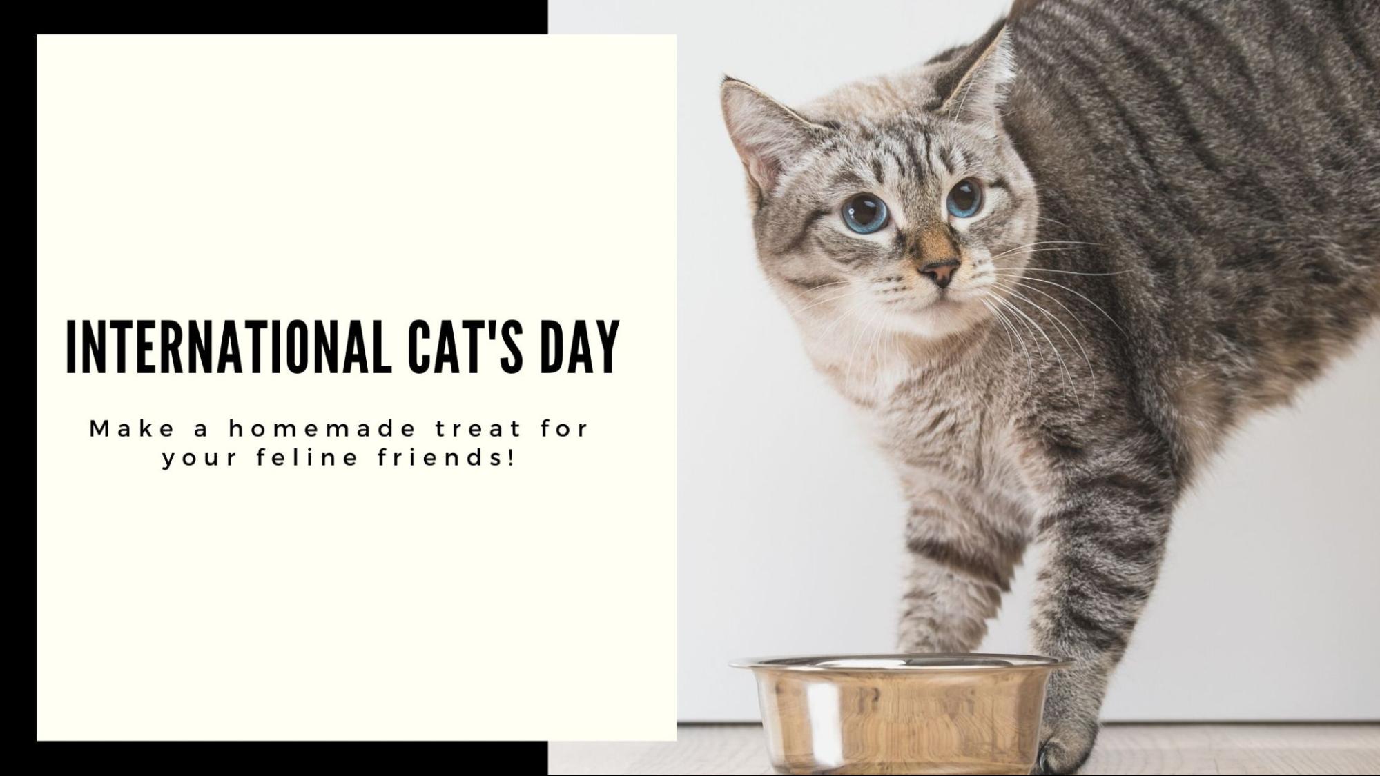 International love your sales pet day 2019