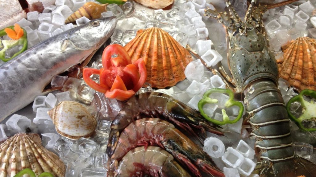 Essential Tips for Storing Seafood Keeping Fish Fresh and Delicious